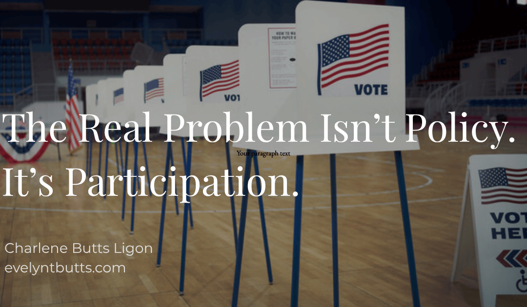 Why Participation Matters More Than Policy