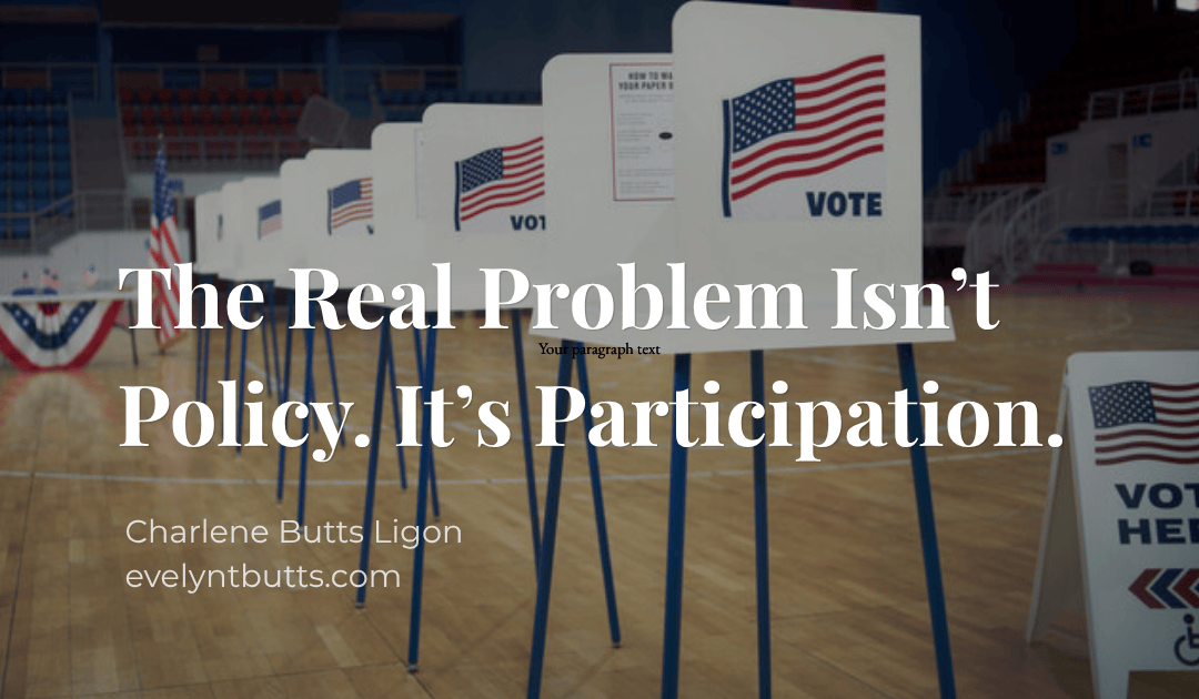 Why Participation Matters More Than Policy